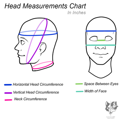 Head Measurements Diagram
